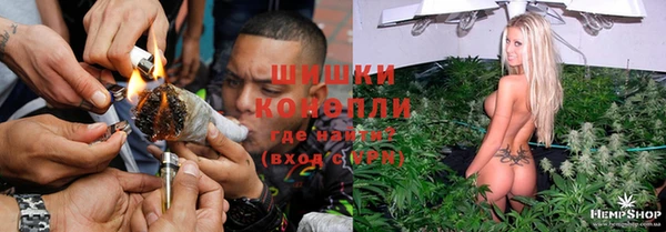 прущая мука Дмитриев