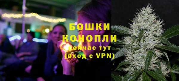 jwh Ельня